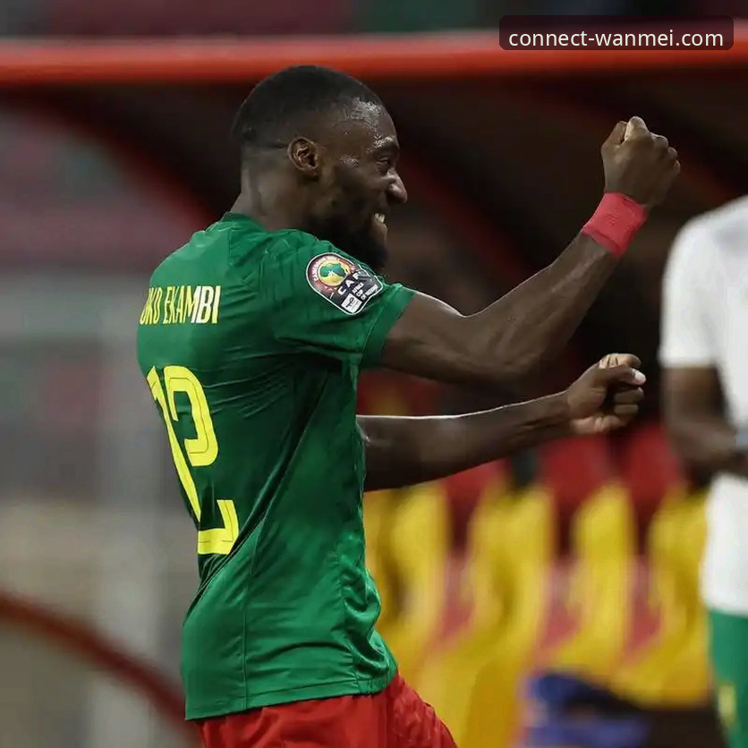 揭秘非洲雄狮52年等待背后的绝杀奇迹：民主刚果重返世界杯的震撼之旅