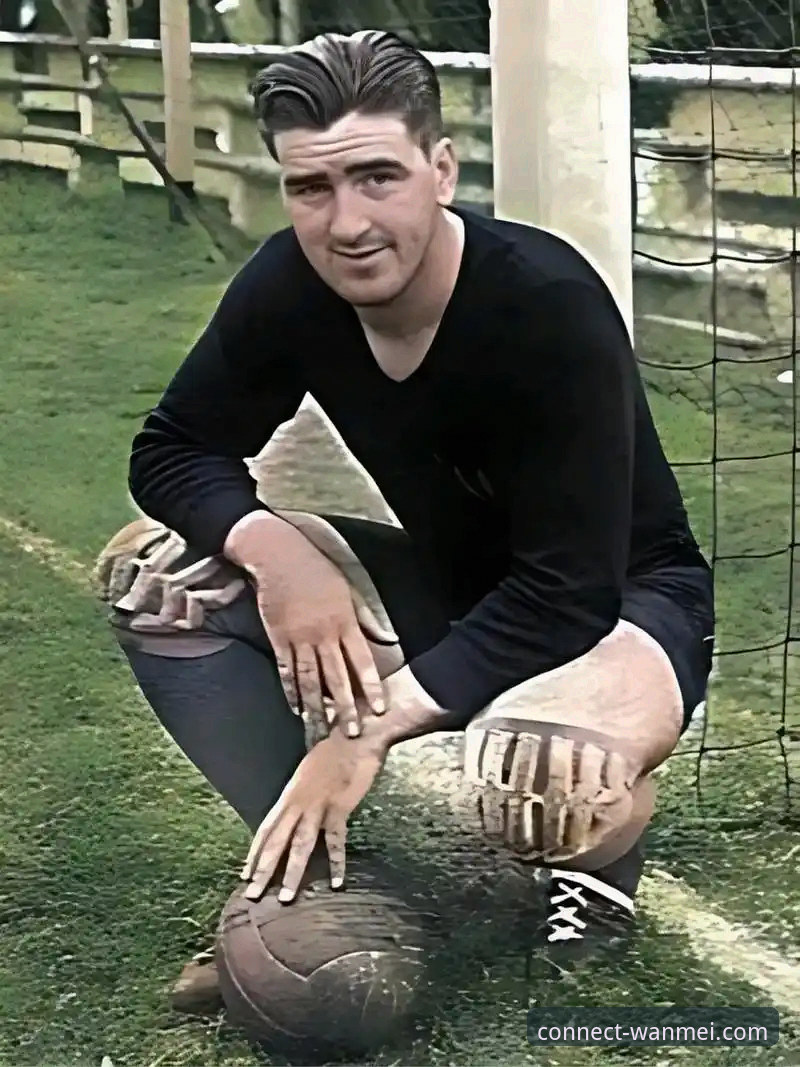 揭秘非洲雄狮52年等待背后的绝杀奇迹：民主刚果重返世界杯的震撼之旅